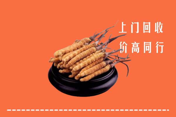 高价求购：大化县回收散虫草