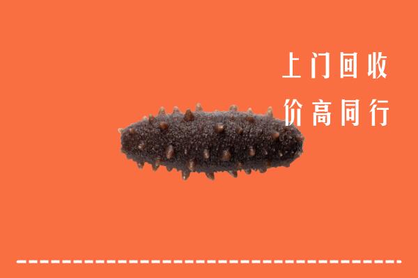 大化县回收海参