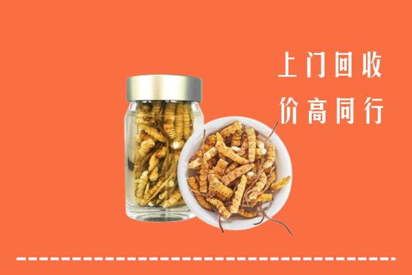大化县回收冬虫夏草